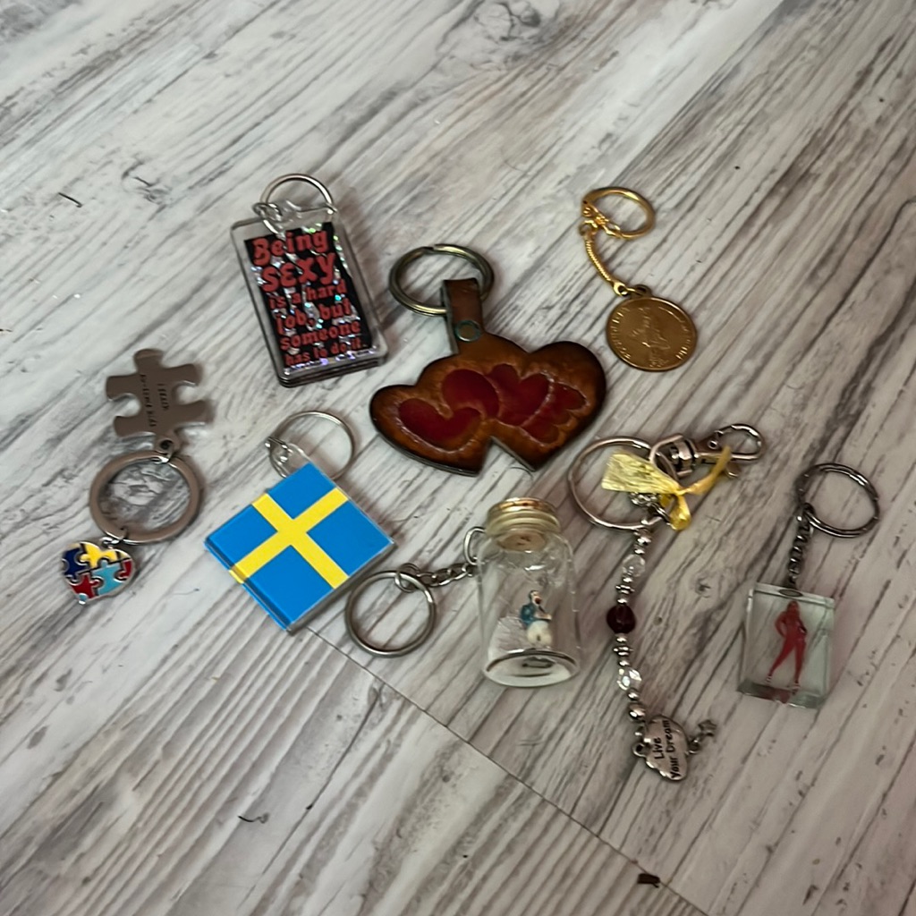 Key Ring Lot